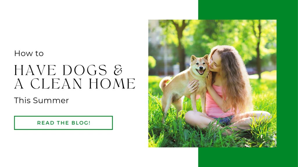 How to Have Dogs AND A Clean House This Summer