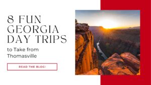 8 Fun Georgia Day Trips to Take from Thomasville!